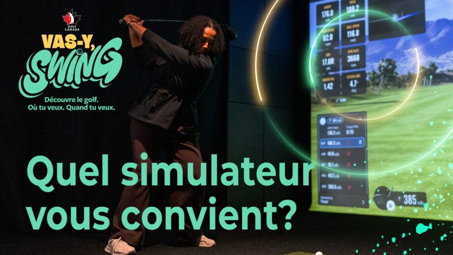 Quel simulateur vous convient?