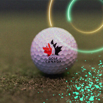 temp alt for theme iandt